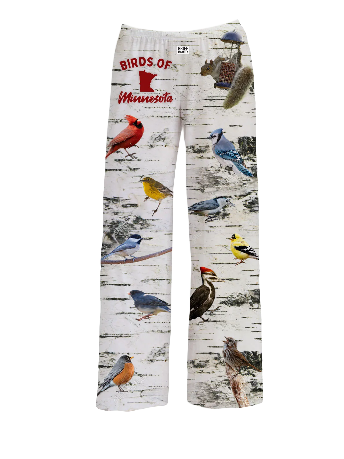 Birds of Minnesota Lounge Pants