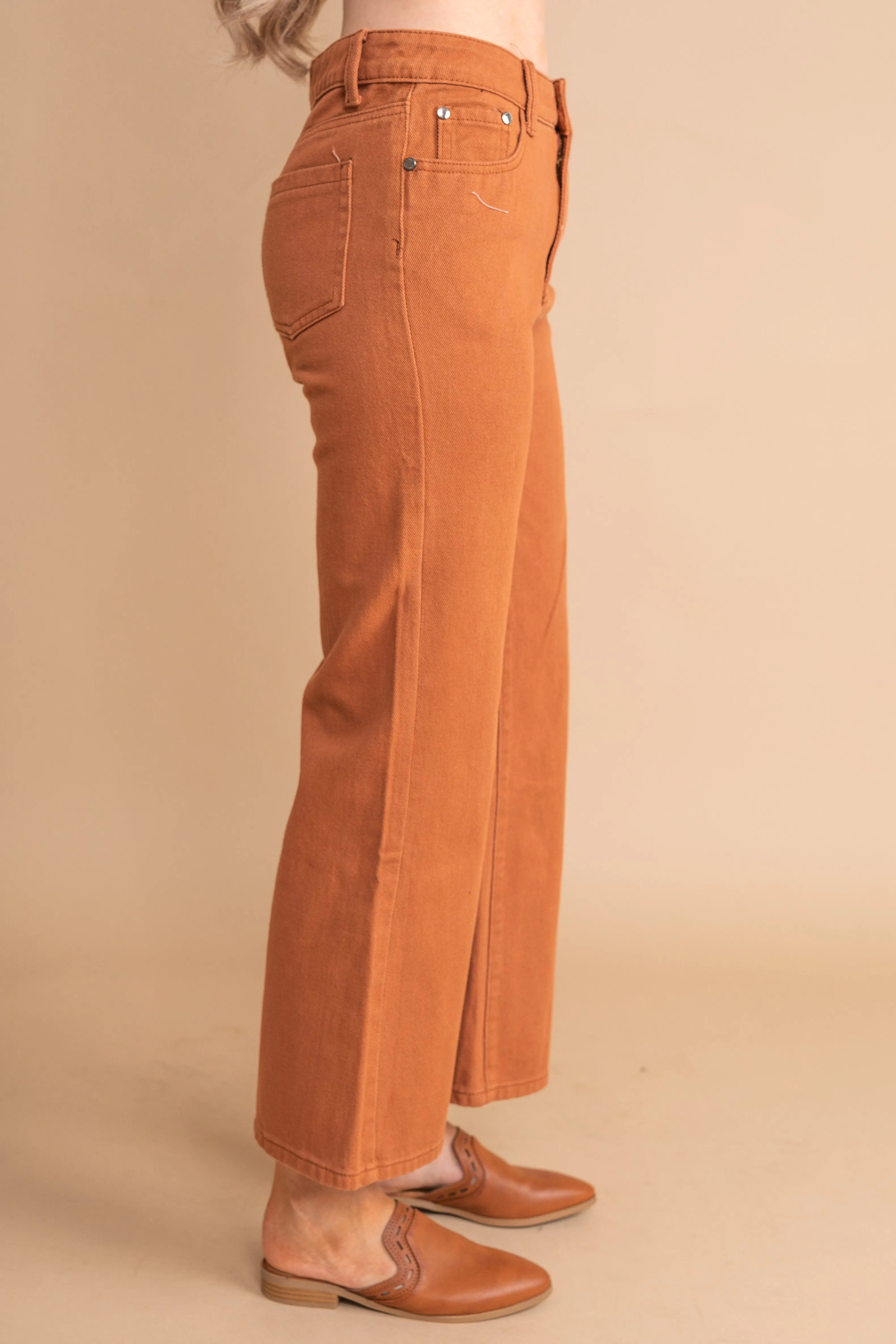 In Control Brick Orange Wide Leg Crop Pants